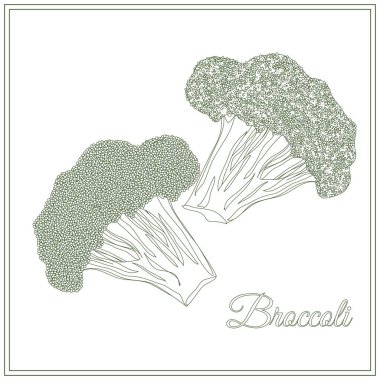Brokoli. Sayfa boyama kitabı için. Doodle, zentangle tasarım.