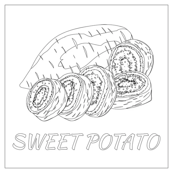 Patata dulce. Página para colorear libro. Doodle, diseño de zentangle — Vector de stock