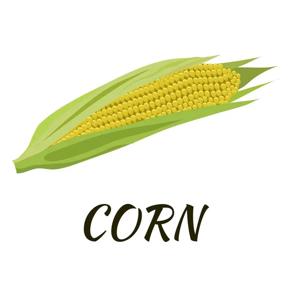 Corn. Platt design. Vektorillustration. — Stock vektor