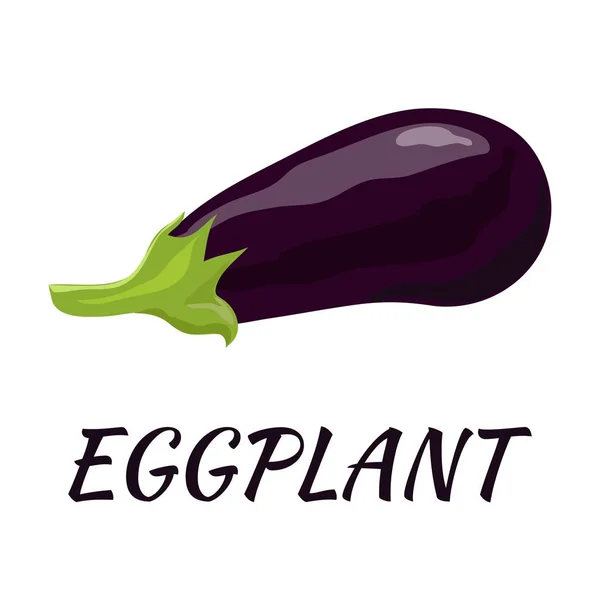 Eggplant. Flat design. Vector illustration. — Stock Vector