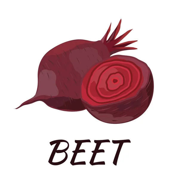 Beet. Flat design. Vector illustration — Stock Vector