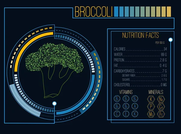 Brokolice. Výživa fakta. Vitamíny a minerály. Futuristické rozhraní. HUD infografika prvky. Plochý design, žádný přechod. Vektorové ilustrace — Stockový vektor