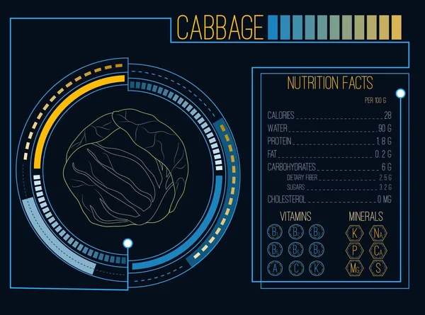 卷心菜。营养成分。维生素和矿物质。未来派的接口。平视显示器的信息图表元素。平面设计，没有渐变。矢量图 — 图库矢量图片