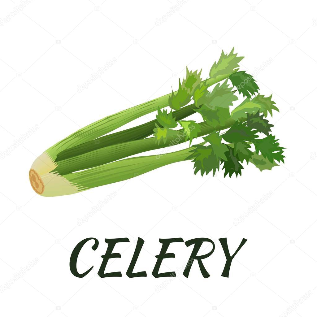 Celery. Flat design. Vector illustration.