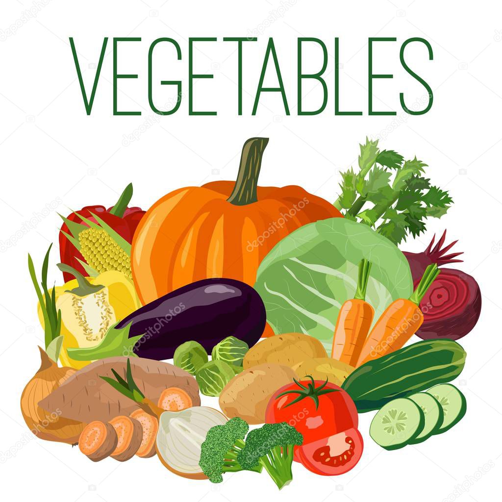 Vegetables. Vector illustration. 