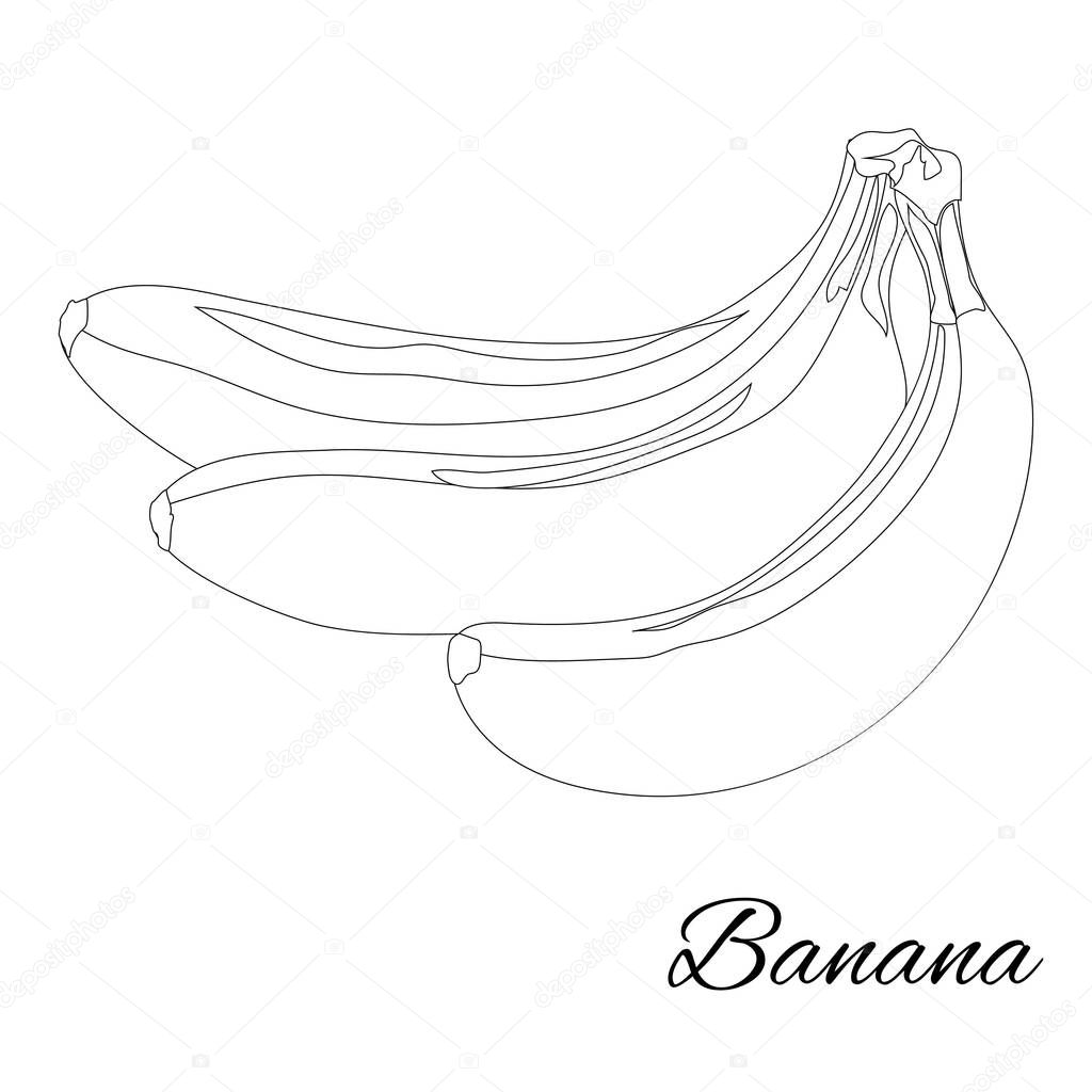 Banana. Page for coloring book. Doodle design.Fruits. Vector ill