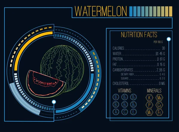 Melancia. Factos nutricionais. Vitaminas e minerais. Futurista — Vetor de Stock