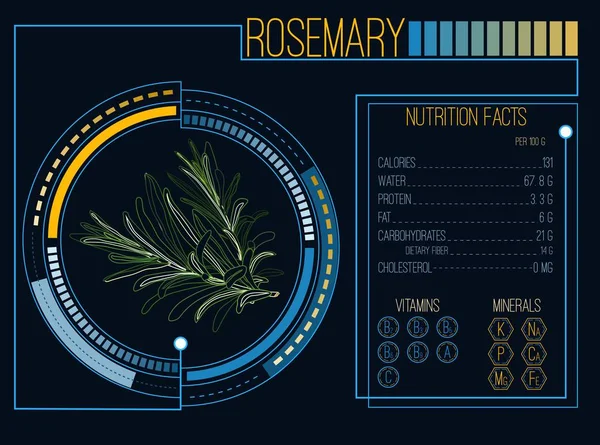 Rosemary.Herbs 和香料。营养成分。维生素和矿物质。未来派的接口。平视显示器的信息图表元素。平面设计，没有渐变。矢量图 — 图库矢量图片