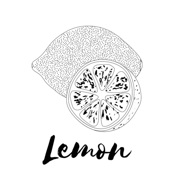 Lemon. Página para colorear libro. Diseño de Doodle. Frutos. Vector illu — Vector de stock