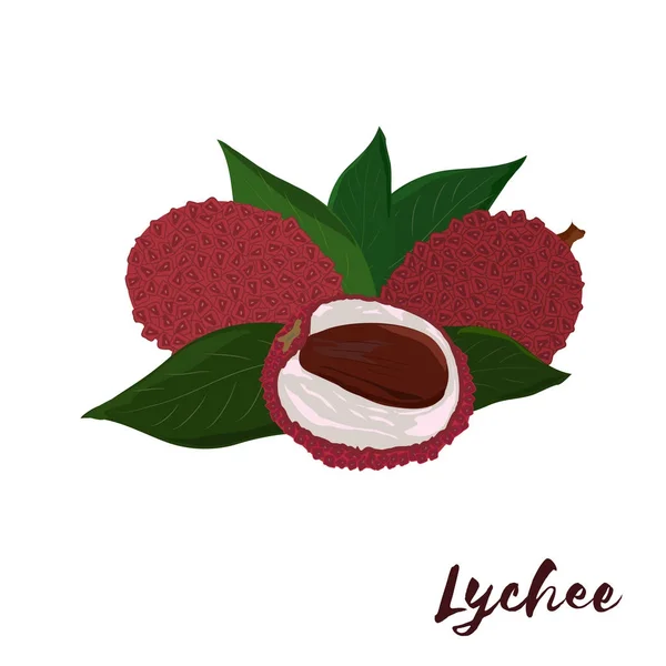 Lychee. Design plano. Ilustração vetorial. Frutos maduros para o seu i — Vetor de Stock