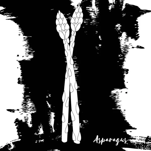 Des asperges. Doodle, dessin en zentangle. Légumes. Illustrat vectoriel — Image vectorielle