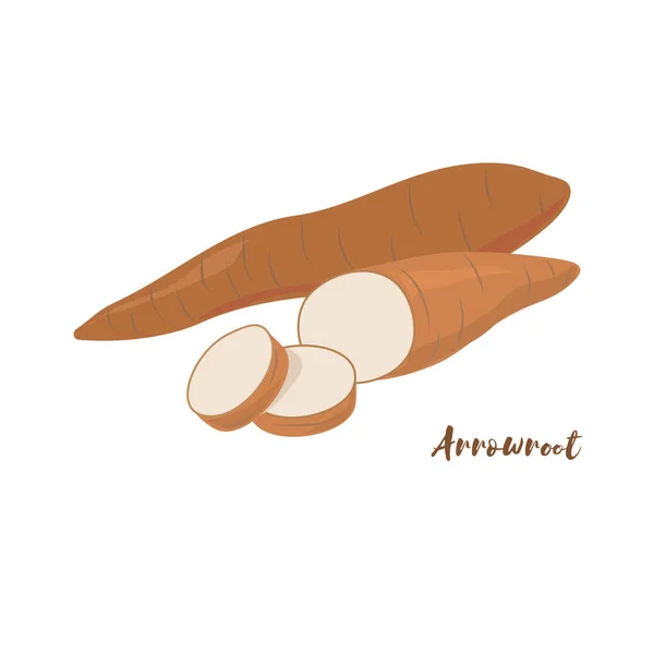 Ararot. Düz tasarım. Vektör çizim. 