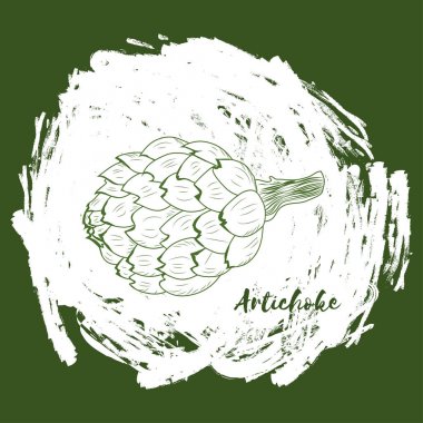 Çizilmiş Artichoke.Hand tasarım. Vektör çizim