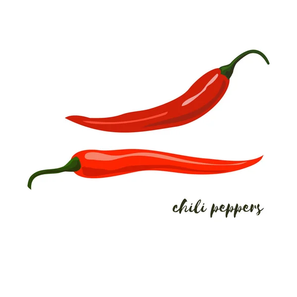 Chili Peppers. Rancangan yang datar. Ilustrasi vektor . - Stok Vektor