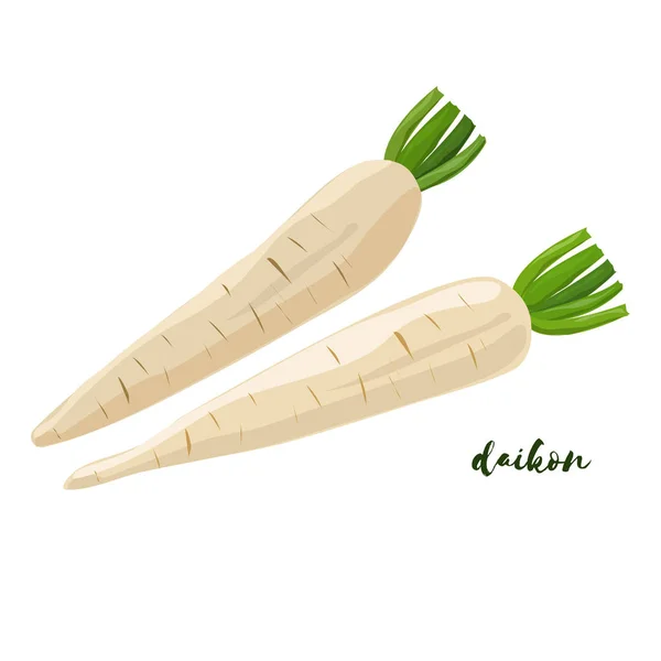 Daikon. Diseño plano. Ilustración vectorial — Vector de stock