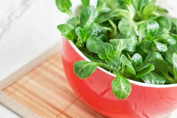 Ensalada de maíz — Foto de Stock