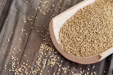 Ahşap arka plan üzerinde solmayan çiçek tahıl