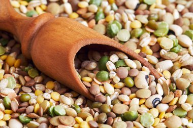 Karışık kuru baklagiller