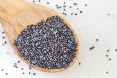 Kuru haşhaş tohumu