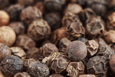 Karabiberli mısır.