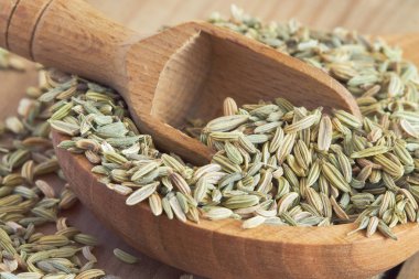 kurutulmuş rezene tohumu