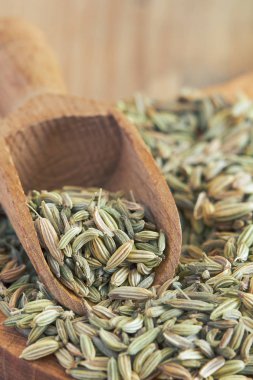 kurutulmuş rezene tohumu