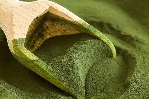 Chlorella yosun toz