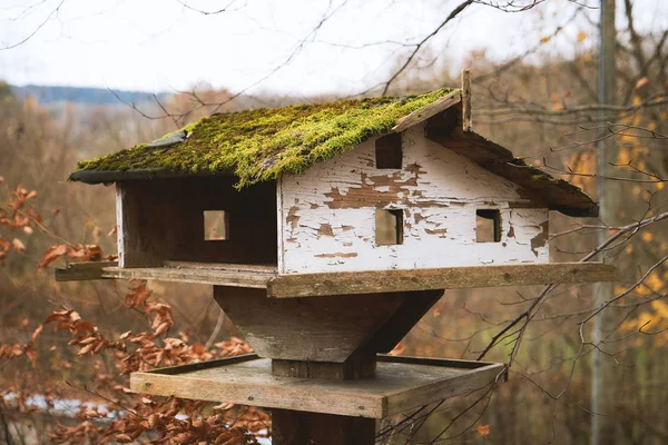 Oude Rustieke Vogelhuisje Met Dak Bedekt Met Mos — Stockfoto