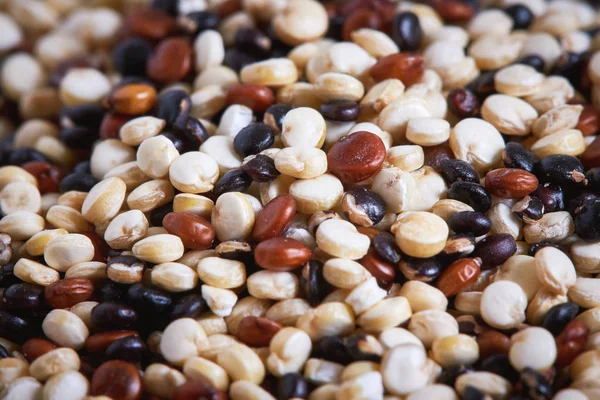 Mixed Raw Quinoa Chenopodium Quinoa Red Black White Seeds — Stock Photo, Image