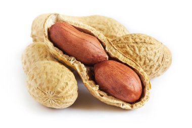 Kavrulmuş fıstık (tuzlu deniz hayvanı kabuğu içinde) beyaz arka plan üzerinde izole