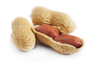 Kavrulmuş fıstık (tuzlu deniz hayvanı kabuğu içinde) beyaz arka plan üzerinde izole