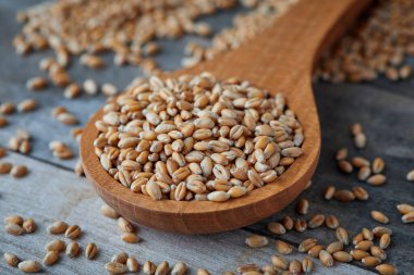 Kırsal alanda çuval bezi içinde çiğ buğday taneleri