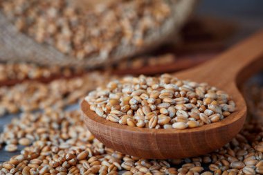 Köy arka planında tahta kaşıkta çiğ buğday.