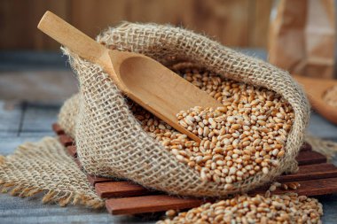 Kırsal alanda çuval bezi içinde çiğ buğday taneleri