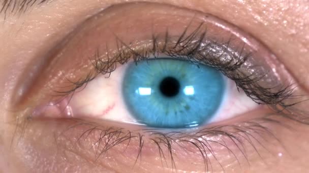 Close Blue Eye Filmato Una Donna Dagli Occhi Azzurri Mozzafiato — Video Stock
