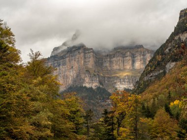 Güzel ve sisli vadide sonbaharda Pyrenees (İspanya)