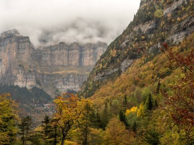Güzel ve sisli vadide sonbaharda Pyrenees (İspanya)