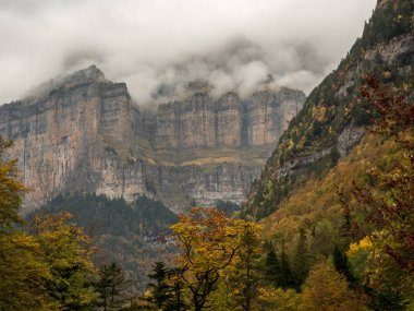 Güzel ve sisli vadide sonbaharda Pyrenees (İspanya)