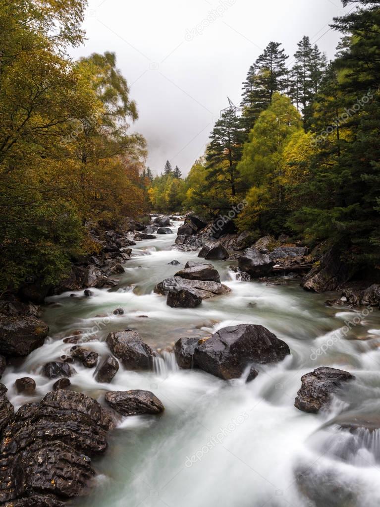 River flowing through the forest in the mountains