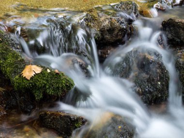 Sonbaharda küçük şelale