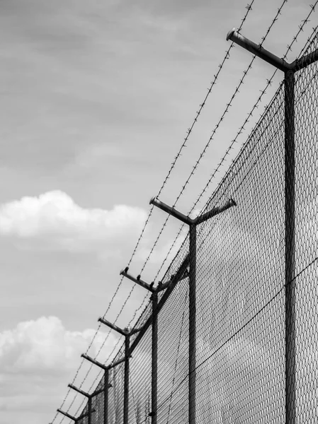 Dikenli tel çit güneş arka plan altında