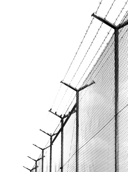 Dikenli tel çit güneş arka plan altında