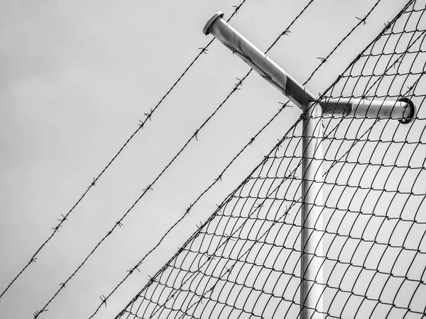 Dikenli tel çit güneş arka plan altında