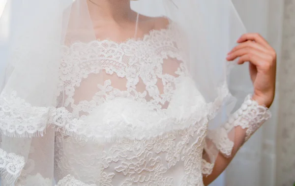 Bride holding a veil — Stock Photo, Image