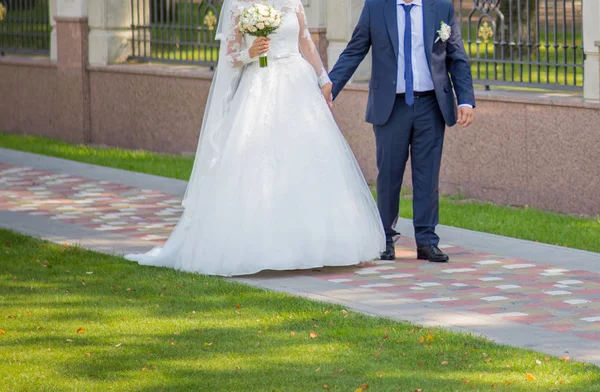 Groom with the bride together in the park — Stock Photo, Image