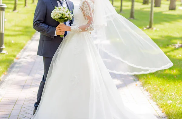 Novia y novio de pie en el parque — Foto de Stock