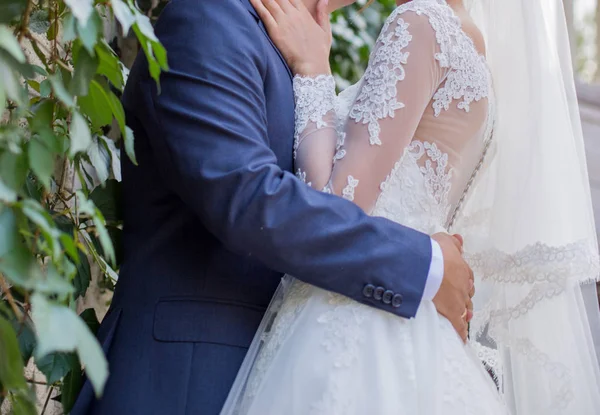 A vőlegény megöleli a menyasszonyt. — Stock Fotó