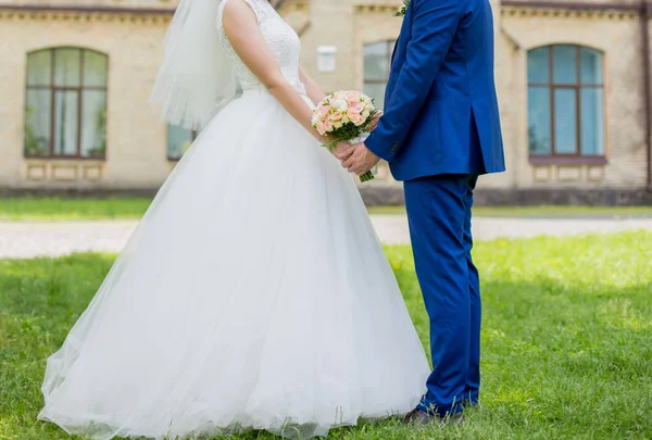 La novia y el novio están tomados de la mano en el parque — Foto de Stock