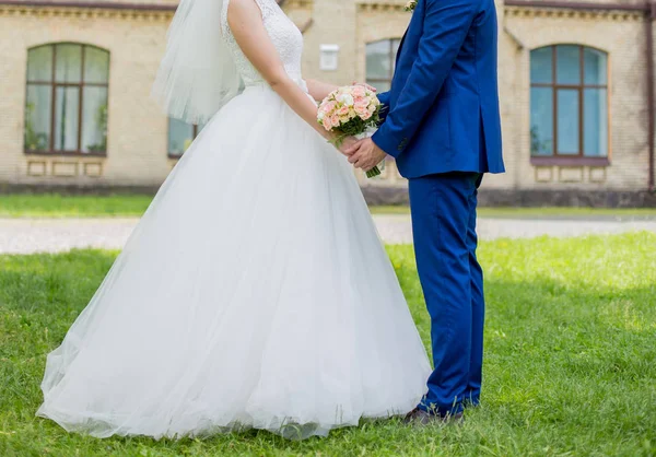 The bride and groom hold hands — Stock Photo, Image