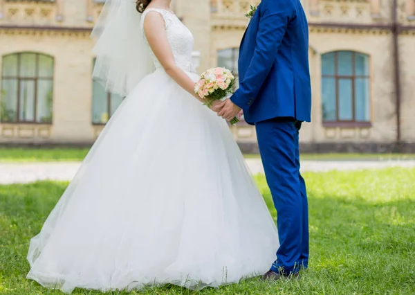A menyasszony és a vőlegény fogják egymás kezét. — Stock Fotó
